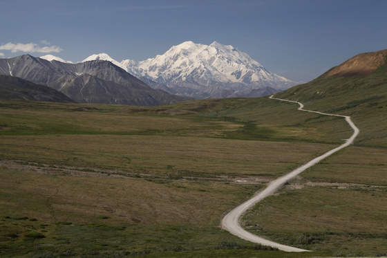Denali National Park