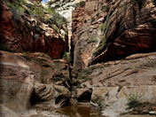 Zion National Park
