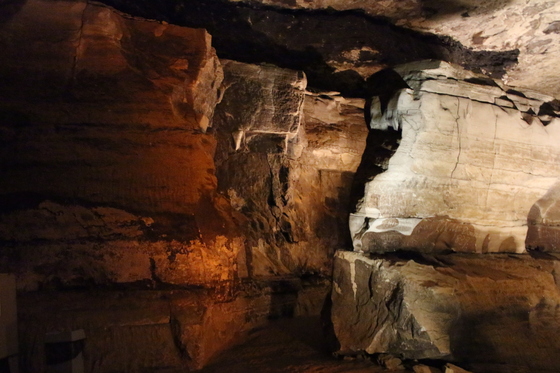 Mammoth Cave National Park