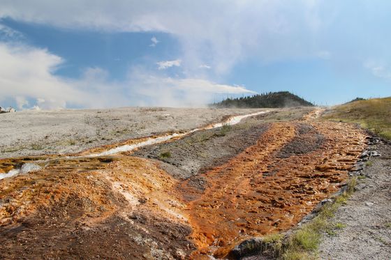Yellowstone National Park