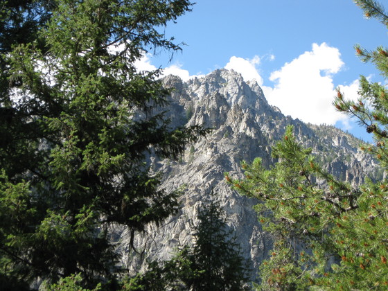 Boise National Forest