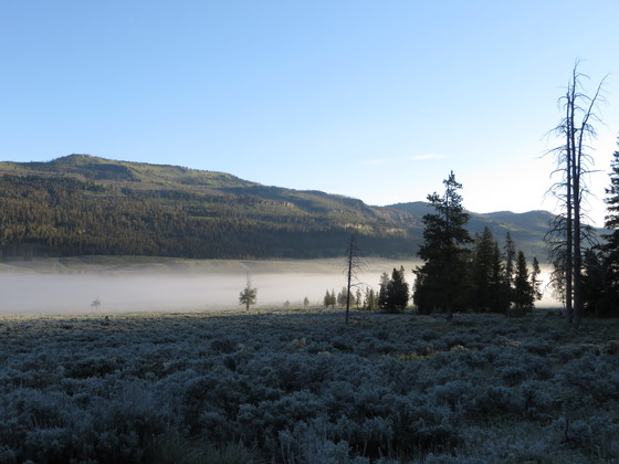 Yellowstone National Park