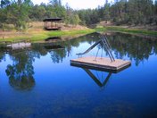 Prescott National Forest