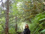Tongass National Forest