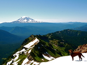 Goat Rocks Wilderness