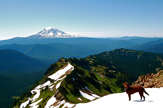 Goat Rocks Wilderness