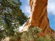 Natural Bridges