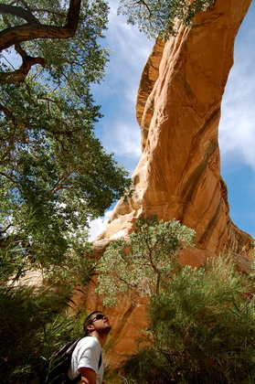 Natural Bridges
