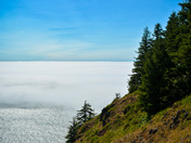 Siuslaw National Forest