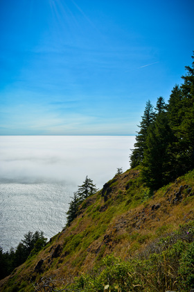 Siuslaw National Forest