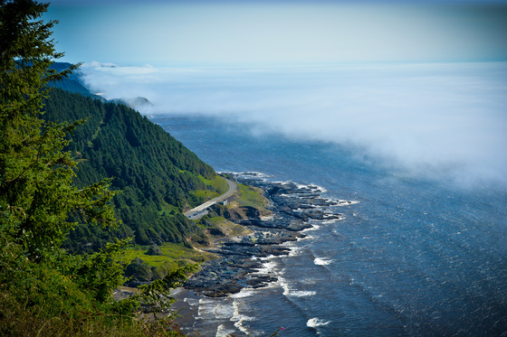 Siuslaw National Forest