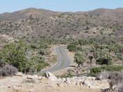 Joshua Tree National Park