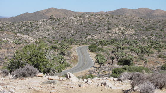 Joshua Tree National Park
