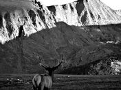 Rocky Mountain National Park