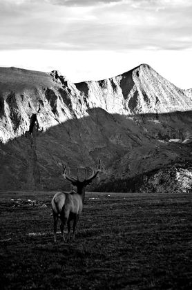 Rocky Mountain National Park