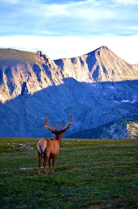 Rocky Mountain National Park