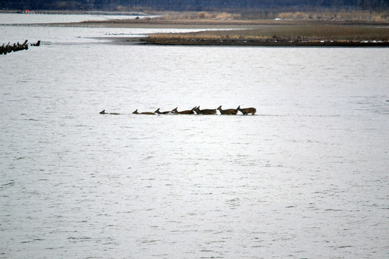 DeSoto National Wildlife Refuge