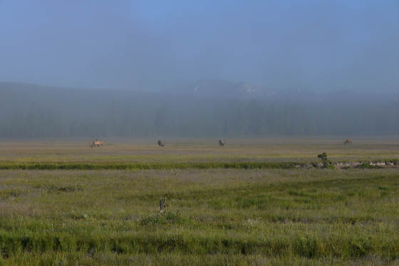 Yellowstone National Park