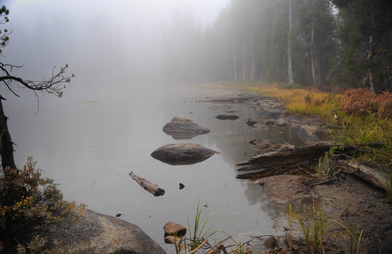 Yosemite National Park