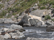 Denali National Park and Preserve