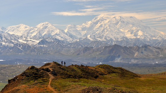 Denali National Park and Preserve