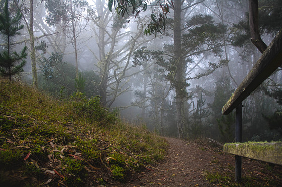 Golden Gate Recreation Area