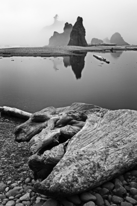 Olympic National Park