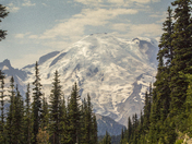 Mt. Ranier