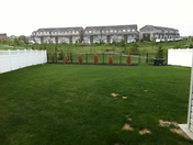 This used to be a wheat field..