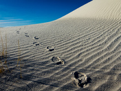 White Sands National Monument