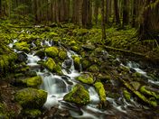 Olympic National Park