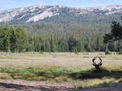 Yosemite National Park