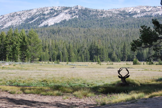 Yosemite National Park