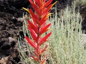 Lava Beds National Monument, Tule Lake, CA