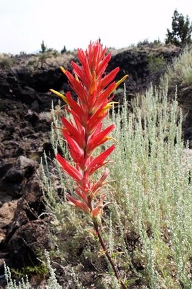 Lava Beds National Monument, Tule Lake, CA