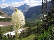 Glacier National Park