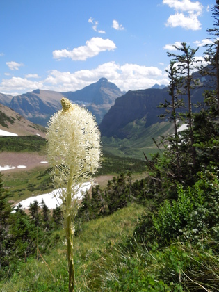 Glacier National Park