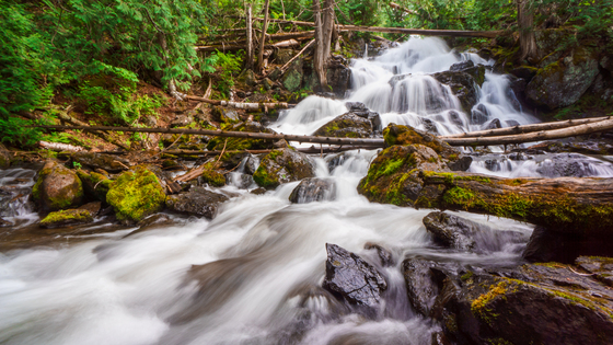 Boundary Waters Canoe Area Wilderness