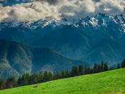 Hurricane Ridge, Olympic National Park