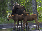 Grand Teton National Park