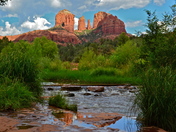Coconino National Forest