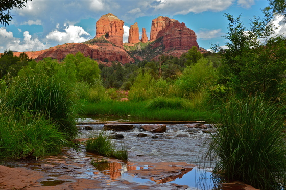 Coconino National Forest