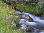 Grand Teton National Park