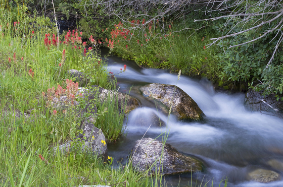 Grand Teton National Park