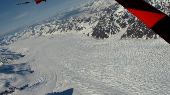 Denali National Park