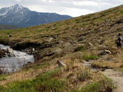Denali National Park