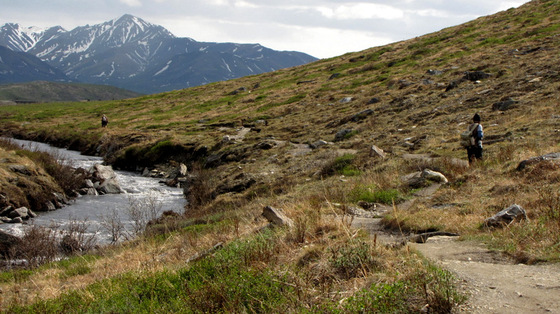 Denali National Park