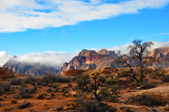 Red Rock Canyon National Conservation Area