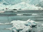 Kenai Fjords National Park