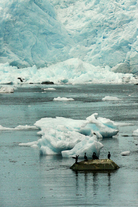 Kenai Fjords National Park